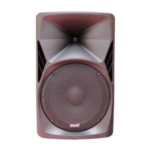 PARLANTE AMPLIFICADO LEXSEN LX1504